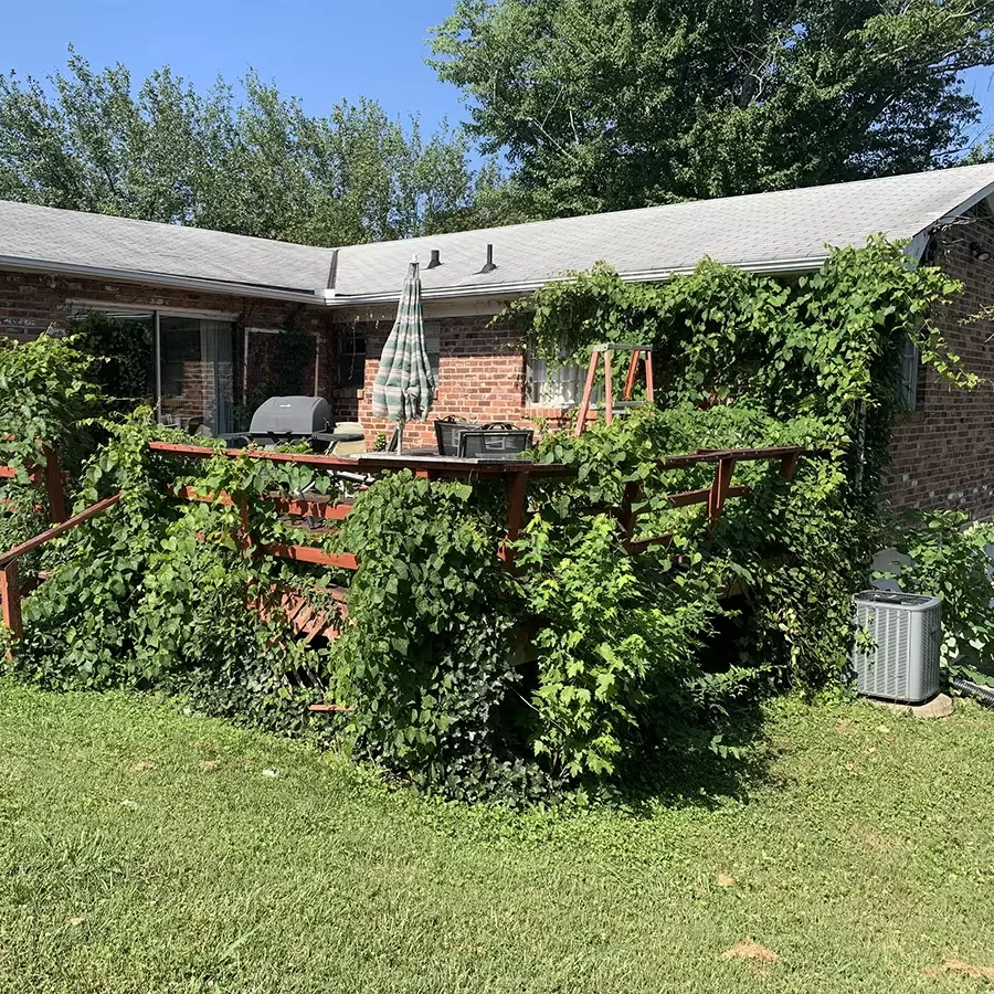 View of older house with weeds in patio, before building a deck