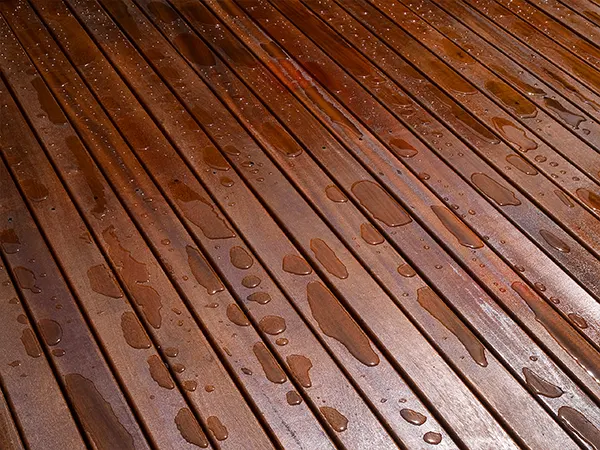 Mahogany wood texture