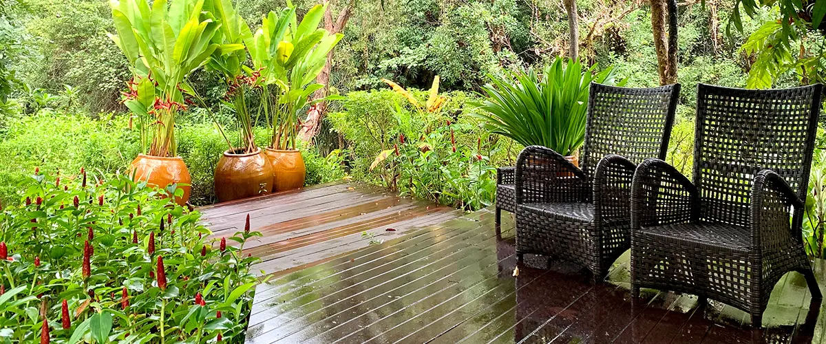 deck surrounded by greenery