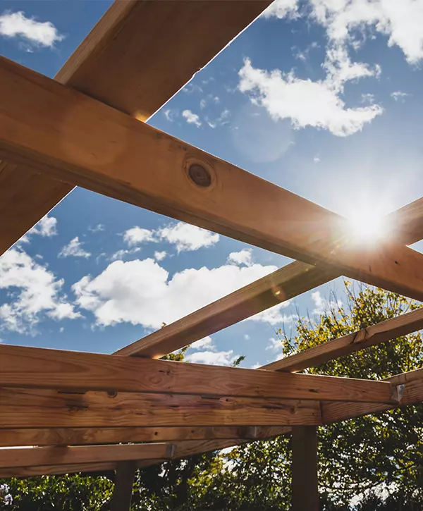 pergola construction in the garden with wooden structure in sunny backyard surrounded by tropical plants