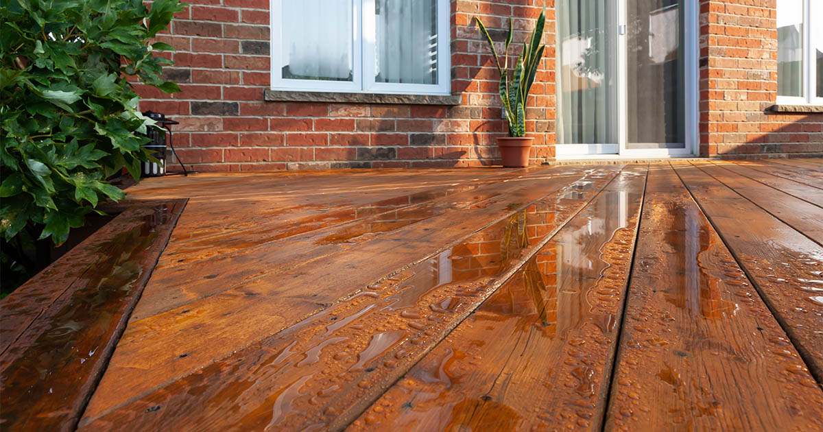 Backyard wet wooden deck floor boards with fresh brown deck stains