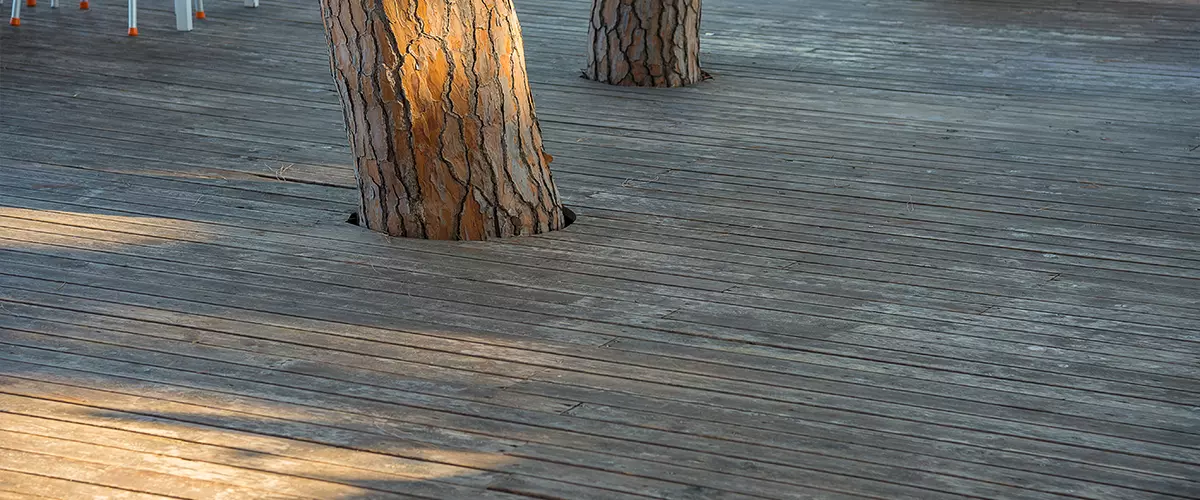 decking around trees, wooden deck spruce trees