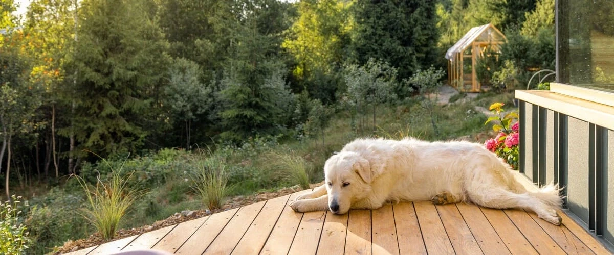 A custom-built wooden safety gate installed at the top of outdoor deck stairs for animal protection.